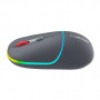 Мишка Canyon MW-22 Dual Band RGB Wireless Dark Grey (CNS-CMSW22DG)