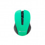 Мишка Canyon CNE-CMSW1GR Wireless Black-Green (CNE-CMSW1GR)