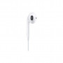 Навушники Apple iPhone EarPods with Mic Lightning (MWTY3ZM/A)