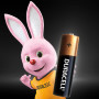 Батарейка Duracell AA лужні 12 шт. в упаковці (5000394006546 / 81551275)