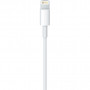 Дата кабель USB 2.0 AM to Lightning 2.0m Apple (MD819ZM/A)