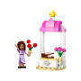 Конструктор LEGO Disney Princess Вітальний стенд Аші (30661)