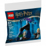 Конструктор LEGO Harry Potter Драко у Забороненому лісі (30677)