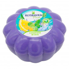 Освіжувач повітря Blyskavka Fresh Гелевий Сонячна м'ята (4820214190733)