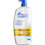 Шампунь Head & Shoulders Цитрусова свіжість 900 мл (8001841409818)