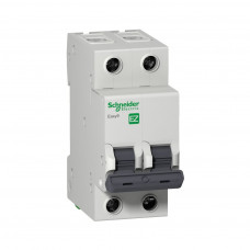 Автоматичний вимикач Schneider Electric Easy9 2P 25A C (EZ9F34225)