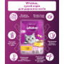 Сухий корм для кішок Whiskas з куркою 800 г (5998749144367)