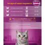 Сухий корм для кішок Whiskas з куркою 800 г (5998749144367)