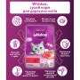 Сухий корм для кішок Whiskas з яловичиною 800 г (5998749144145)