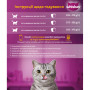 Консерви для котів Whiskas з яловичиною в соусі 400 г (5900951305382)