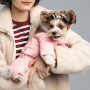 Костюм для тварин Pet Fashion JUDY XS пудровий (4823082428823)